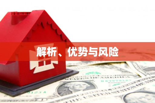 利辛解析、优势与风险