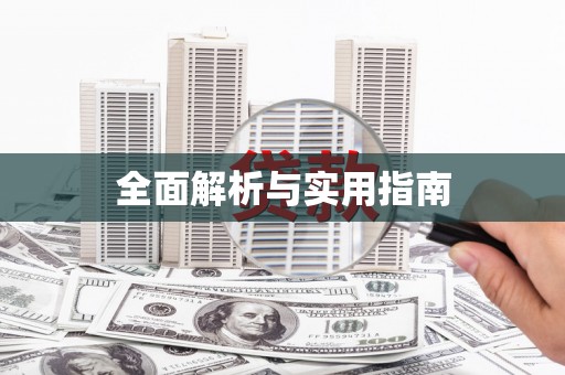 利辛全面解析与实用指南