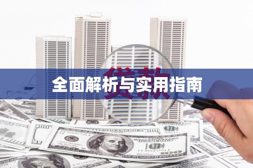 利辛全面解析与实用指南