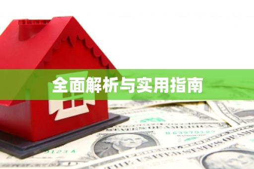 利辛全面解析与实用指南