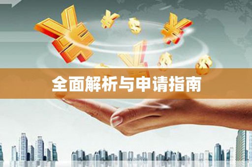 利辛全面解析与申请指南