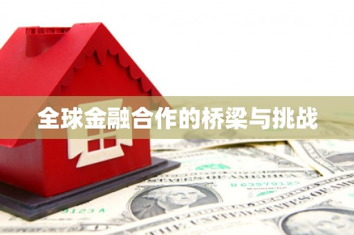 利辛全球金融合作的桥梁与挑战
