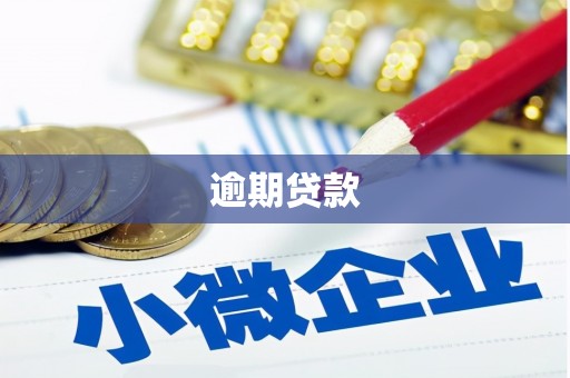 利辛逾期贷款