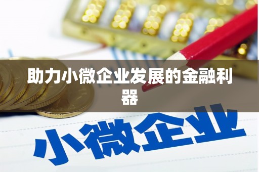利辛助力小微企业发展的金融利器