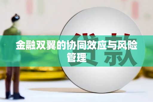 利辛金融双翼的协同效应与风险管理