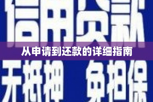 利辛从申请到还款的详细指南