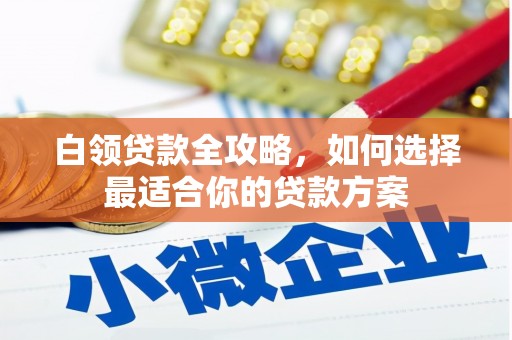 利辛白领贷款全攻略，如何选择最适合你的贷款方案