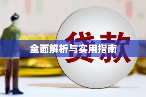 利辛全面解析与实用指南