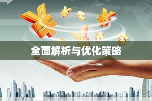 利辛全面解析与优化策略