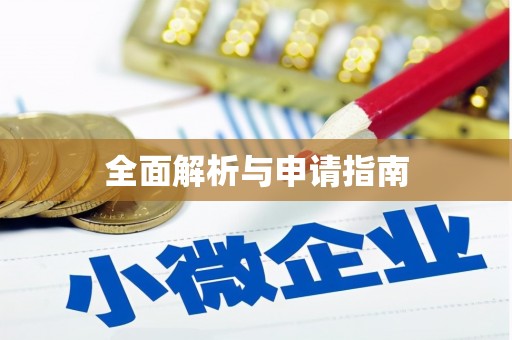 利辛全面解析与申请指南