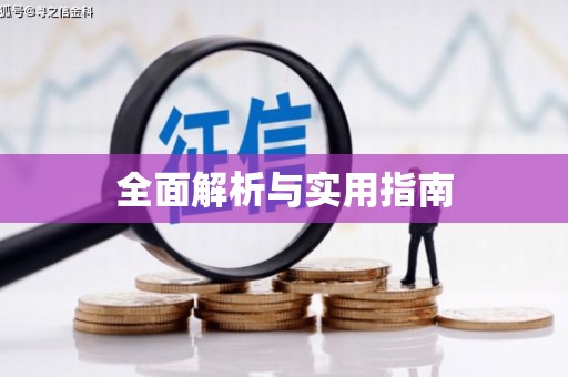 利辛全面解析与实用指南