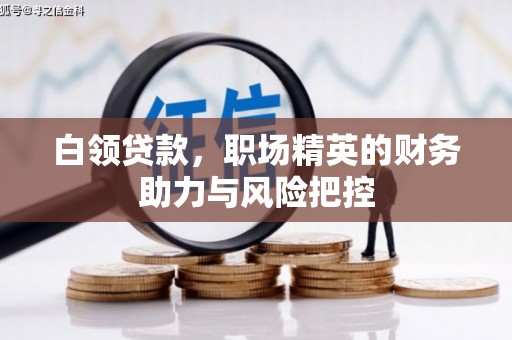 利辛白领贷款,职场精英的财务助力与风险把控 利辛白领贷款,职场精英的财务助力与风险把控