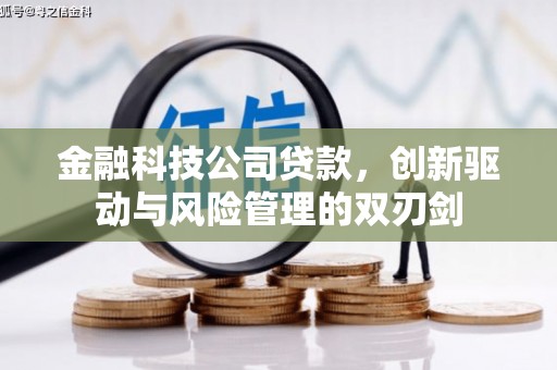 利辛金融科技公司贷款，创新驱动与风险管理的双刃剑