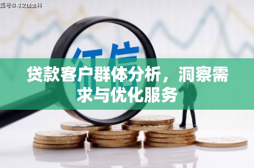 利辛贷款客户群体分析，洞察需求与优化服务